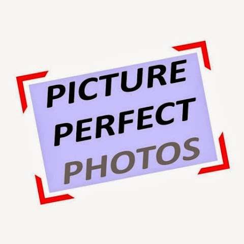 Picture Perfect Photos Studio photo
